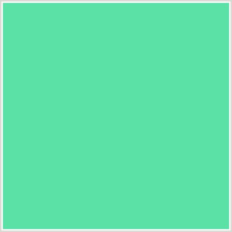 5BE0A5 Hex Color Image ()